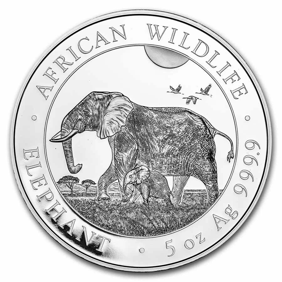 5 UNZEN SILBER - SOMALIA ELEFANT 2022 - SILBERMÜNZE