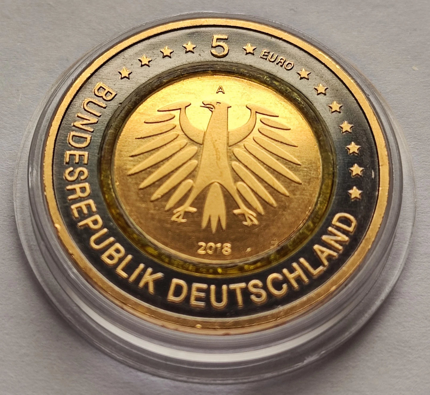 5 Euro Münze - Subtropische Zone 2017 - Polymerring - mit Rhodium und Gold veredelt