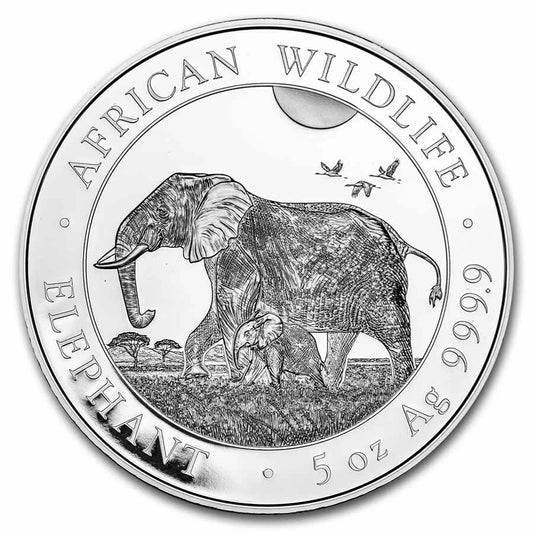 5 UNZEN SILBER - SOMALIA ELEFANT 2022 - SILBERMÜNZE