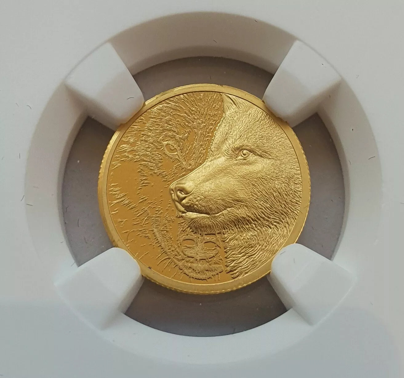 1/10 UNZE GOLD - MYSTIC WOLF - ULTRA HIGH RELIEF - NUR 999 STÜCK - GOLDMÜNZE