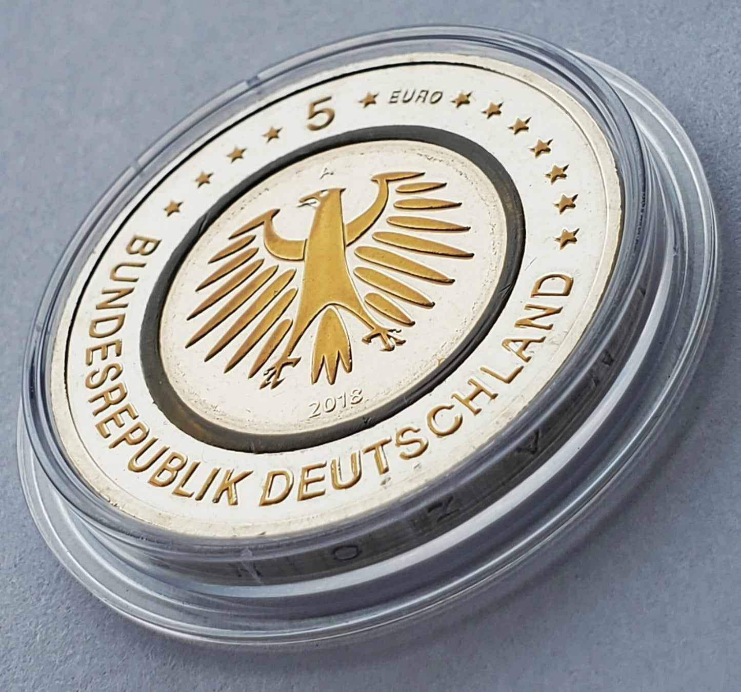 5 Euro Münze - Subtropische Zone 2017 - Polymerring - teilvergoldet
