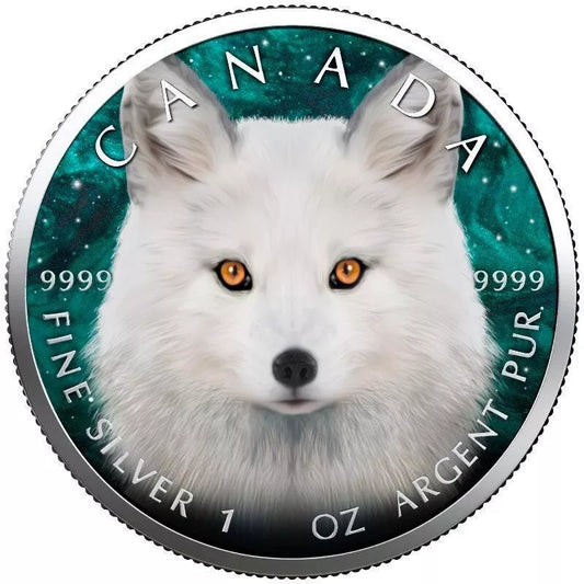 1 UNZE 999 SILBER - MAPLE LEAF / POLAR FUCHS  - NUR 100 STÜCK WELTWEIT - KOLORIERT - SILBERMÜNZE