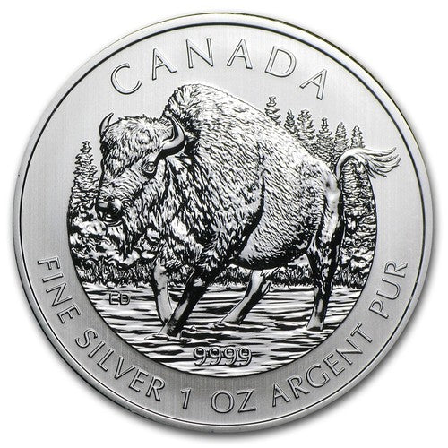 1 UNZE 999 SILBER - KANADA BUFFALO 2013 - SILBERMÜNZE